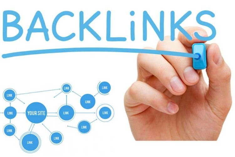 backlink api