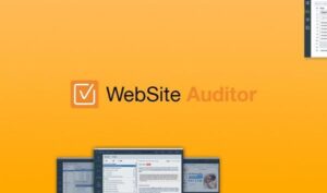 Sử dụng website Auditor