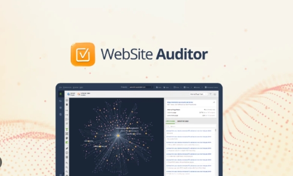 Sử dụng website Auditor